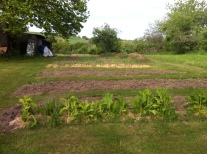 Hurry up frosts, the beds are ready!